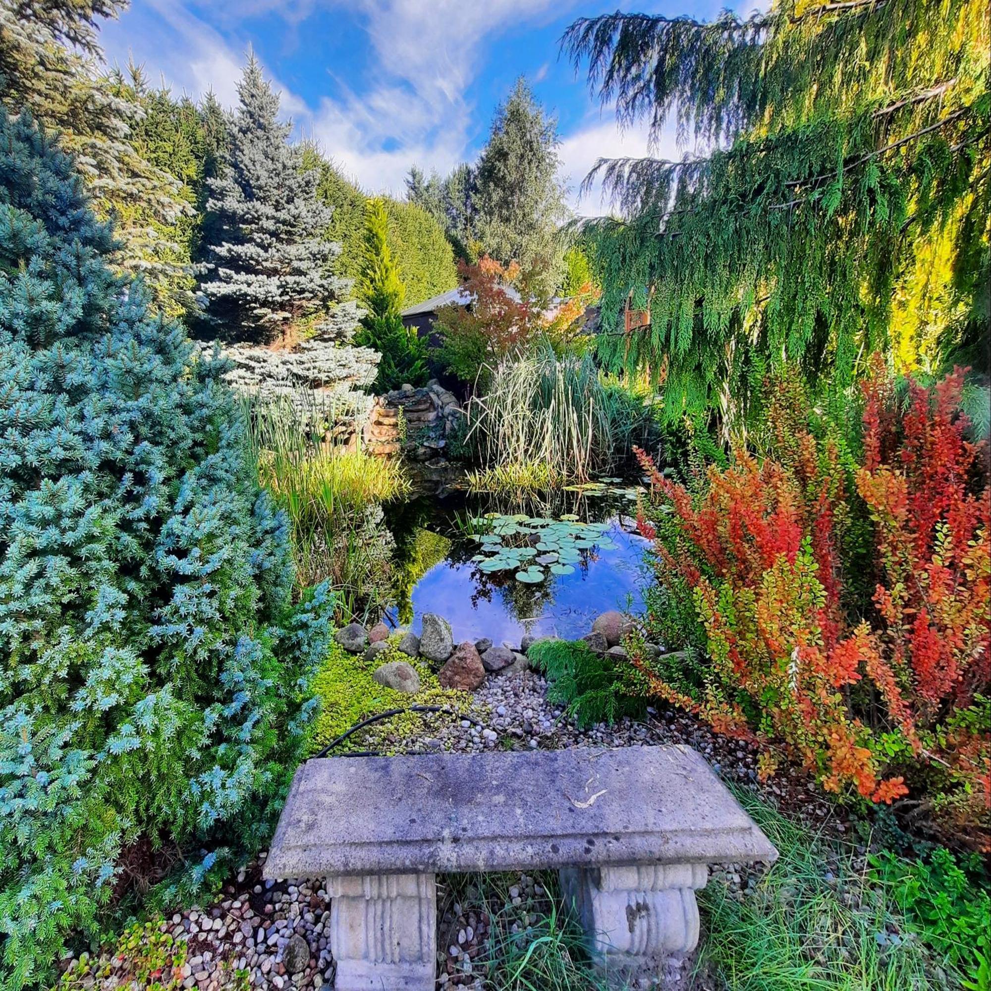 Retrohouse - Wypoczynek Dla Doroslych, B&B Reda Buitenkant foto